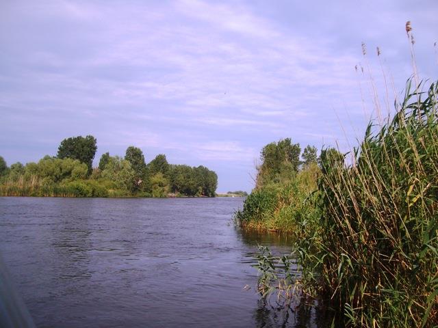 delta rosu 2010 - sany0719.JPG